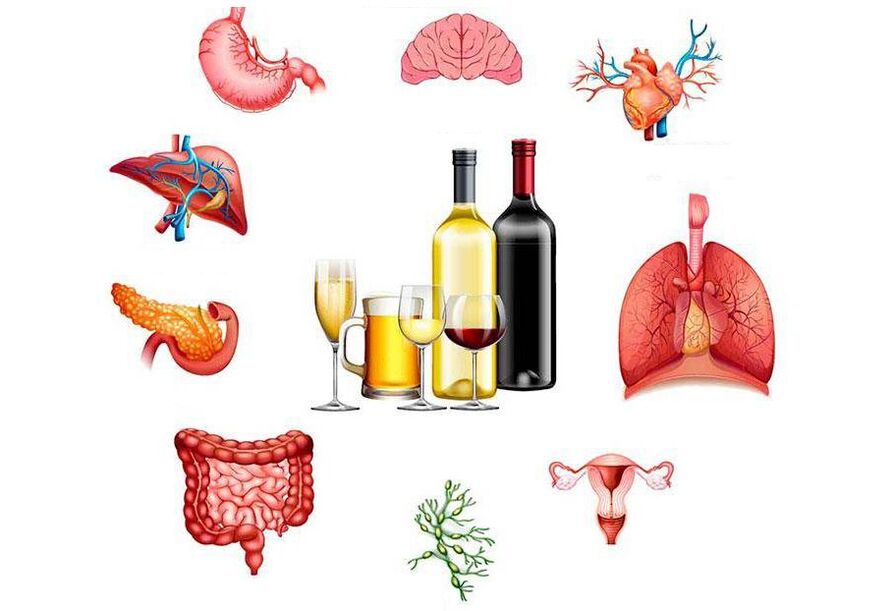 vliv alkoholu na organismus